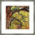 The Autumn General Ap Framed Print