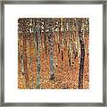 The Beech Forest Framed Print