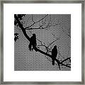 The Birds Framed Print