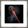 The Black Stork Framed Print
