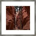 The Chapel, Bryce Canyon Framed Print