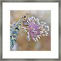 The Color Is Stronger Than The Words... Framed Print