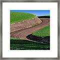 The Curve Framed Print