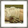 The Dead Christ In The Tomb Framed Print