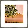 The Dreaming Tree 2 Framed Print