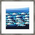 The Fish Ball - Here We Go Round Framed Print