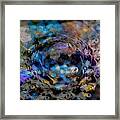 The Fish In Focus Framed Print