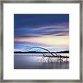 The Floating Tree Framed Print