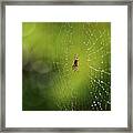 The Great Architect In The Morning Light Framed Print