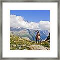 The King Of Mont Blanc Framed Print
