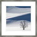 Lone Tree In Yellowstone During Winter Framed Print