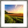 The Long Way Home Framed Print