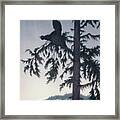 The Male Capercaillie Plays Framed Print