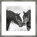 The Mane Attraction Framed Print