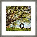 The Old Tire Swing Framed Print