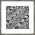 The Rice Mill Framed Print