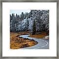 The Road And The Frozen Trees Framed Print
