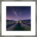 The Tractor And The Lavender Framed Print