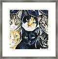 The Tuna Can Gang Framed Print