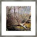 The Unseen Forest Framed Print