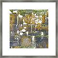 The Wall Framed Print