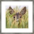 The Watcher Framed Print