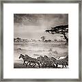 The Water Hole Framed Print