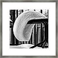 The White Beret Framed Print