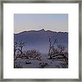 The Wind At Mesquite Dunes Framed Print