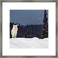 The Wolf Framed Print