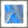 The World Is Gray The World Is Blue... Framed Print
