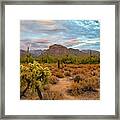 Thimble Peak And Cholla From Sabino Canyon, Tucson Framed Print