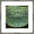 Thorne Face Framed Print