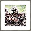 Three Bald Eaglets - Fraser Point Framed Print