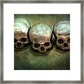Three Human Skulls Framed Print