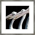 Three Pelicans Are Seen In Their New Framed Print
