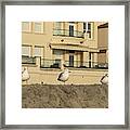 Three Seagulls On A Sand Dune Framed Print