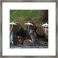 Three Squirrels Holding Their Umbrellas    Paintography Framed Print