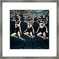 Three Synchronised Swimmers In Line Framed Print