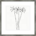 Three Tall Palm Trees- Art By Linda Woods Framed Print