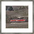 Through Winter Vineyards Framed Print