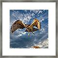 Time To Fly Two Framed Print