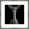 To Be Standing To Attention Framed Print