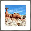 Toadstools Framed Print