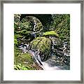 Tollymore Forest Park - United Kingdom - Landscape Photography Framed Print