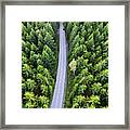 Top View Of Dark Green Forest Landscape In Winter. Aerial Nature Framed Print