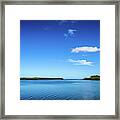 Touch Of Green Framed Print