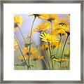 Touches 5 Framed Print