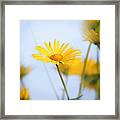 Touches 6 Framed Print