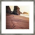Traces Framed Print